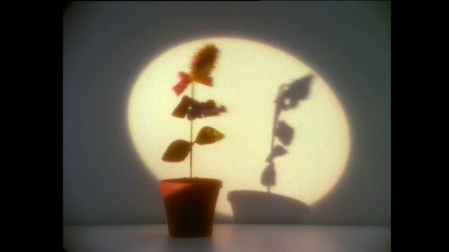 Nazi flower